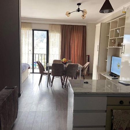 Vitali Apartment Borjomi Εξωτερικό φωτογραφία