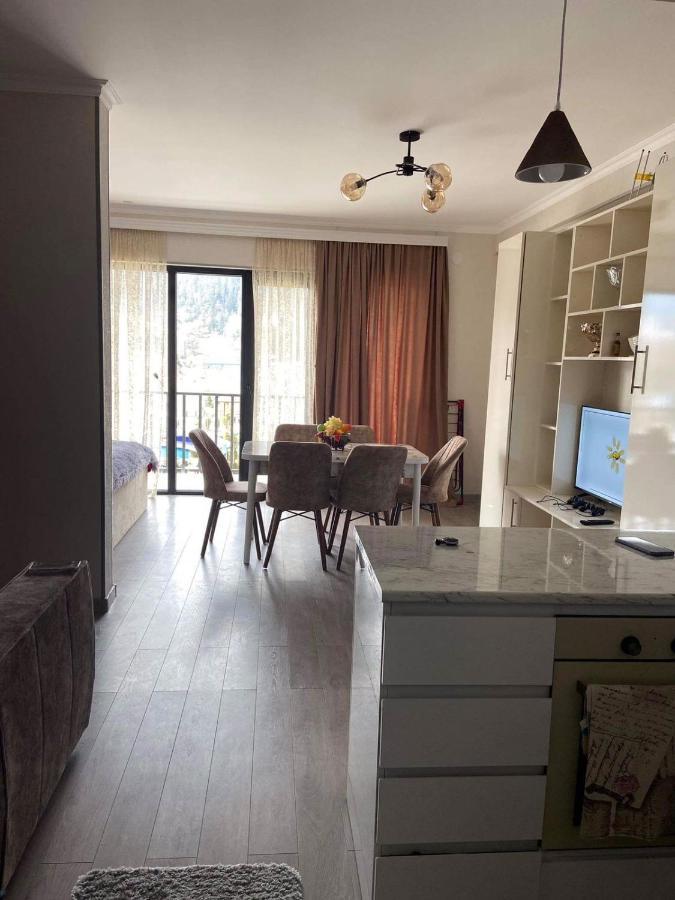 Vitali Apartment Borjomi Εξωτερικό φωτογραφία