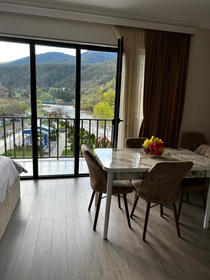 Vitali Apartment Borjomi Εξωτερικό φωτογραφία